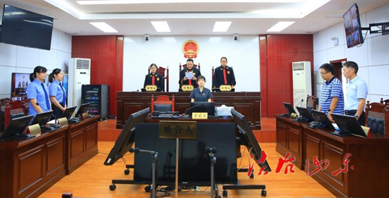 平邑县人民法院对林化生等三被告人恶势力犯罪团伙一案公开宣判